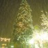 La neige est là !