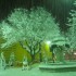 La neige est là !