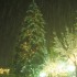 La neige est là !