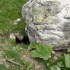 Une heure à Castérino.