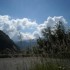 Transhumance : 400 vaches dans
