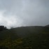 Transhumance : 400 vaches dans