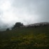 Transhumance : 400 vaches dans