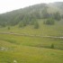 Transhumance : 400 vaches dans