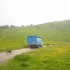 Transhumance : 400 vaches dans