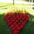 Les couleurs de la commune.
