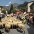 Saint Roch et fête paysanne.