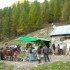 Transhumance des chevaux.