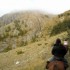 Transhumance des chevaux.