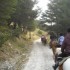 Transhumance des chevaux.