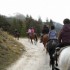 Transhumance des chevaux.