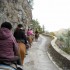 Transhumance des chevaux.