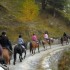 Transhumance des chevaux.