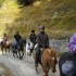 Transhumance des chevaux.