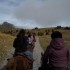 Transhumance des chevaux.