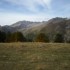 Transhumance des chevaux.