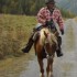 Transhumance des chevaux.