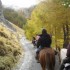 Transhumance des chevaux.