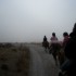 Transhumance des chevaux.