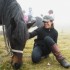 Transhumance des chevaux.