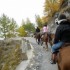 Transhumance des chevaux.