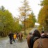 Transhumance des chevaux.
