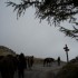 Transhumance des chevaux.