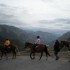 Transhumance des chevaux.