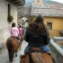 Transhumance des chevaux.