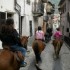 Transhumance des chevaux.