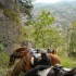 Transhumance des chevaux.