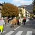 Les vaches traversent Tende.