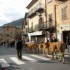 Les vaches traversent Tende.