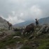 Pêche en Haute Montagne.