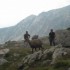 Pêche en Haute Montagne.