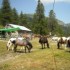 Centres Equestres de Castérin