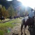 Dernière transhumance de Tend