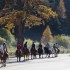 Dernière transhumance de Tend