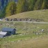 Dernière transhumance de Tend