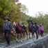 Dernière transhumance de Tend