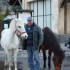 Les chevaux de Tende Rando Equ