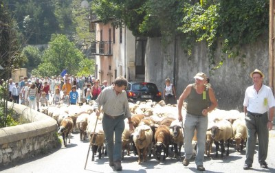 Les bergers menant un troupeau d’une centaine de moutons...