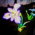 Splendeurs de Chine à Ceret  
