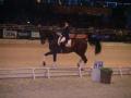 concour dressage