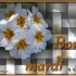 Mardi 3 juin