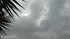 Journée plustôt gris mais ch