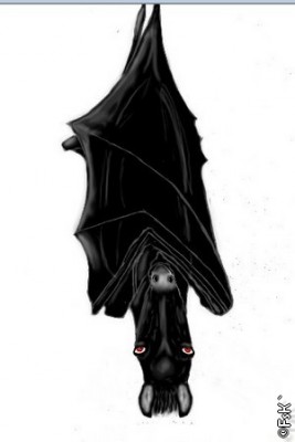 Vampire_Poulain