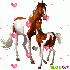 un amour de cheval