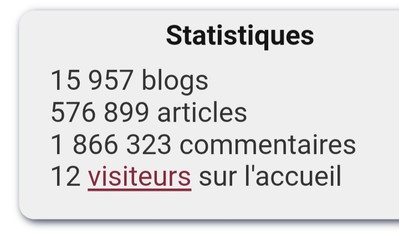 Petite question , quand je vois le nombre de blog, par apport au nombres de visite je ne sais trop quoi penser ???