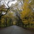 Jeudi 6/11, Central Park